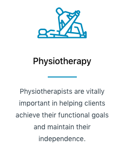 Physiotherapy Services Vivir Healthcare